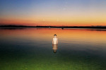 tumblr_mizmtq6oZZ1qawpa6o1_1280